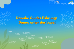 Deckblatt Website Danube Guides Führung
